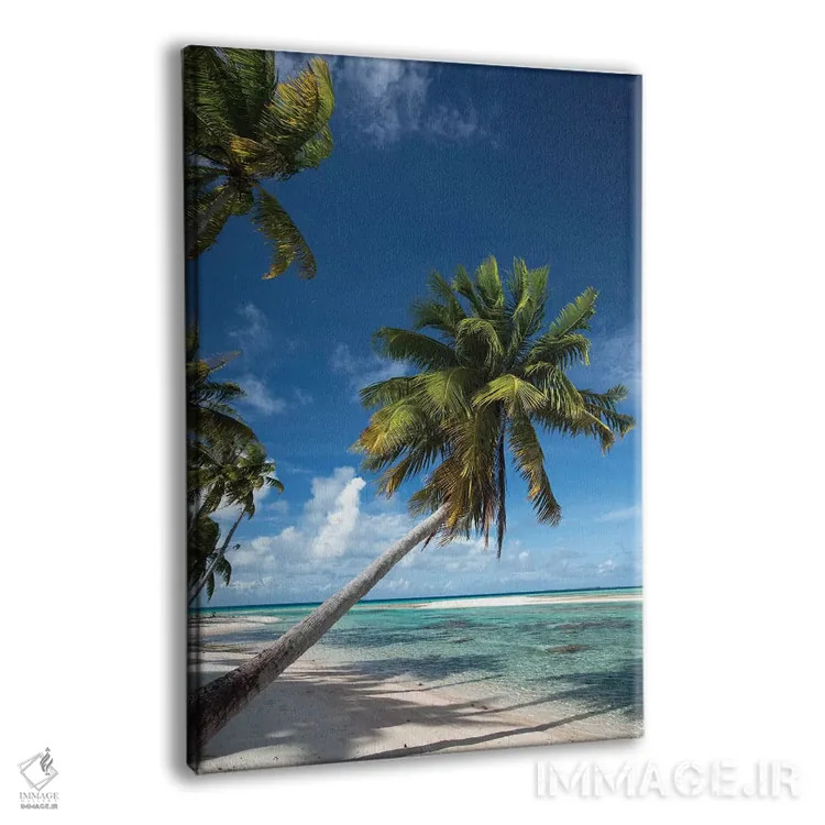 تابلو دکوراتیو Bora Bora, Society Islands, French Polynesia I" - "درخت… اثر پانورامیک ایمجز - نمای پرسپکتیو محصول
