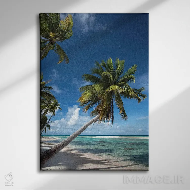 تابلو دکوراتیو Bora Bora, Society Islands, French Polynesia I" - "درخت… اثر پانورامیک ایمجز - نمای روبهرو روی دیوار