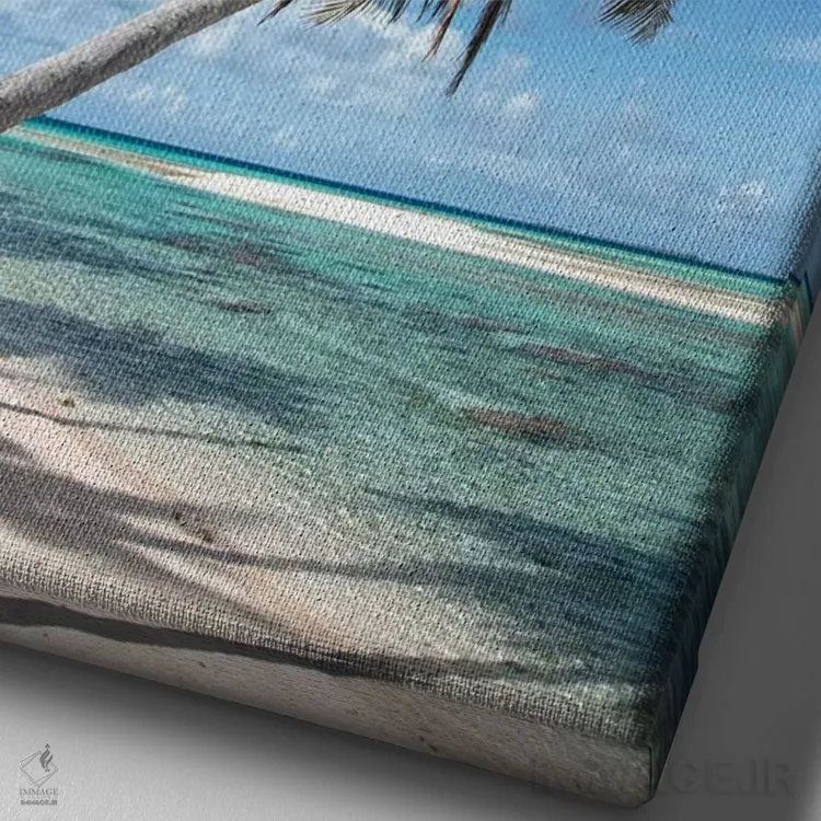 تابلو دکوراتیو Bora Bora, Society Islands, French Polynesia I" - "درخت… اثر پانورامیک ایمجز - نمای نزدیک بافت بوم