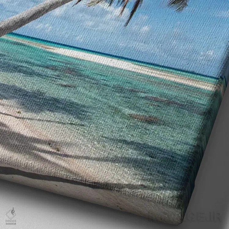 تابلو دکوراتیو Bora Bora, Society Islands, French Polynesia I" - "درخت… اثر پانورامیک ایمجز - نمای نزدیک بافت بوم