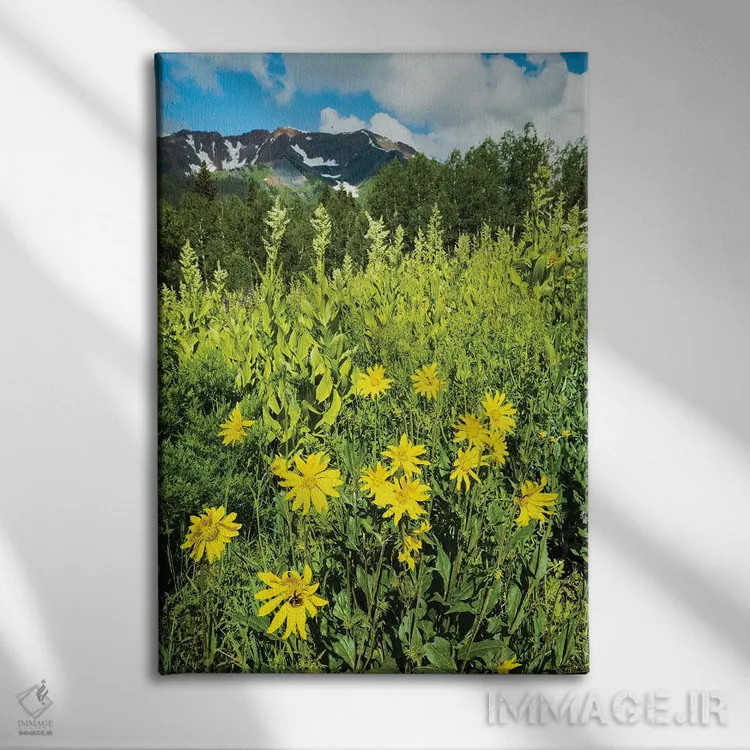 تابلو دکوراتیو Crested Butte, Colorado, USA II,منظره دیدنی از گل های و… اثر پانورامیک ایمجز - نمای روبهرو روی دیوار