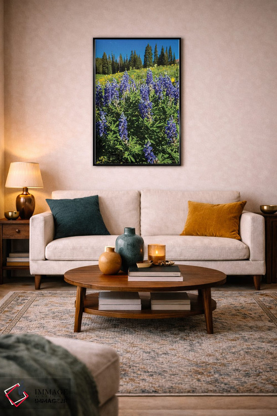 تابلو دکوراتیو Crested Butte, Colorado, USA" - "گل های وحشی بنفش که در… اثر پانورامیک ایمجز - D4B