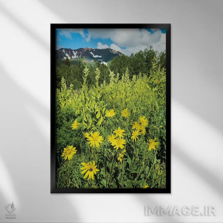 تابلو دکوراتیو Crested Butte, Colorado, USA II,منظره دیدنی از گل های و… اثر پانورامیک ایمجز - نمای قابدار مشکی