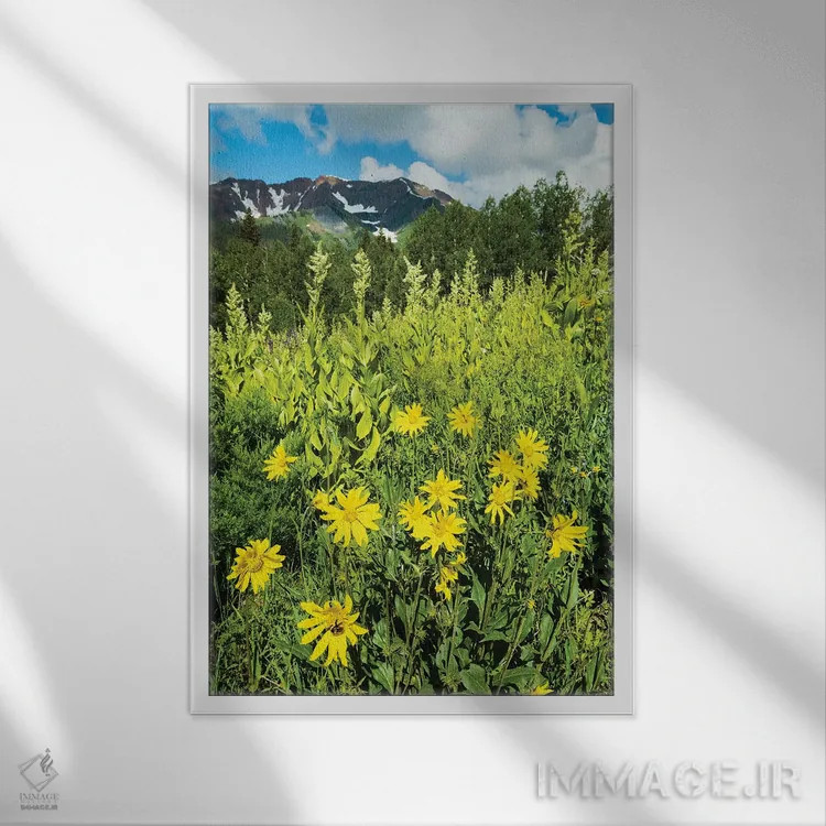 تابلو دکوراتیو Crested Butte, Colorado, USA II,منظره دیدنی از گل های و… اثر پانورامیک ایمجز - نمای قابدار سفید