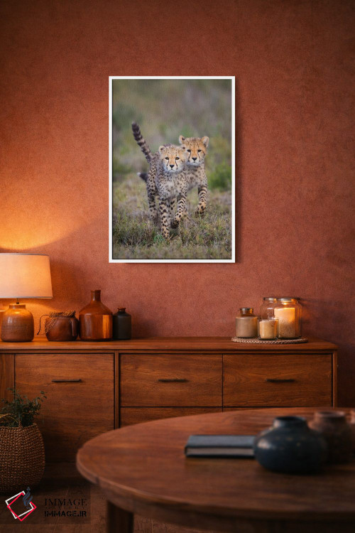 تابلو دکوراتیو Ngorongoro Conservation Area, Tanzania" - "گربه سانان چ… اثر پانورامیک ایمجز - D2W