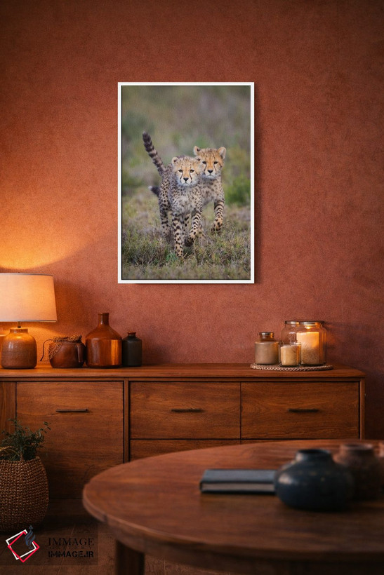 تابلو دکوراتیو Ngorongoro Conservation Area, Tanzania" - "گربه سانان چ… اثر پانورامیک ایمجز - D2W