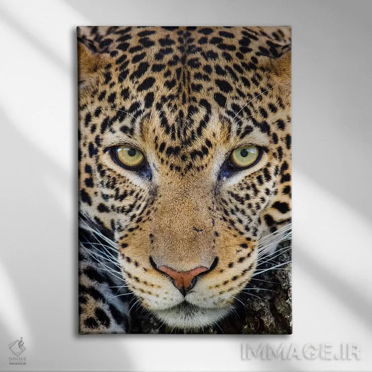 تابلو دکوراتیو Ngorongoro Conservation Area, Tanzania, Africa" - "نمای… اثر پانورامیک ایمجز - نمای روبهرو روی دیوار
