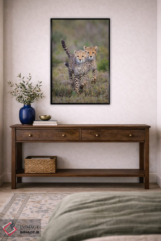 تابلو دکوراتیو Ngorongoro Conservation Area, Tanzania" - "گربه سانان چ… اثر پانورامیک ایمجز - D5B