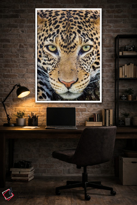 تابلو دکوراتیو Ngorongoro Conservation Area, Tanzania, Africa" - "نمای… اثر پانورامیک ایمجز - D3W