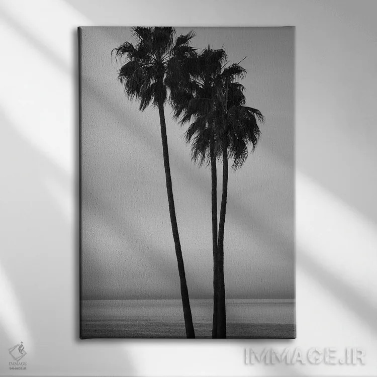 تابلو دکوراتیو California, USA" - "درختان نخل در هنگام غروب در ساحل سا… اثر پانورامیک ایمجز - نمای روبهرو روی دیوار
