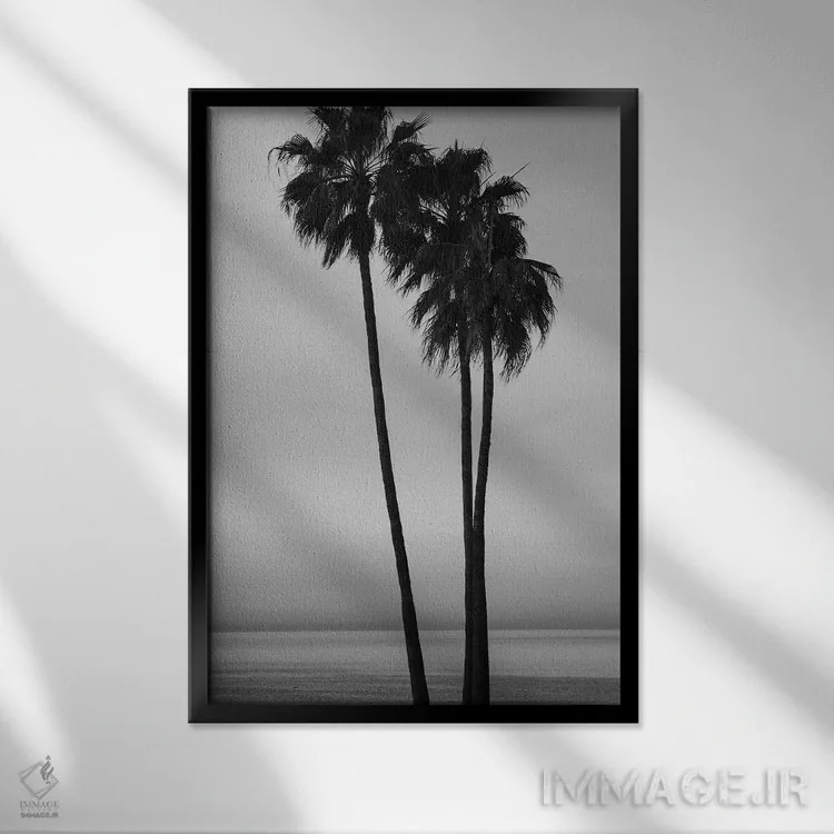 تابلو دکوراتیو California, USA" - "درختان نخل در هنگام غروب در ساحل سا… اثر پانورامیک ایمجز - نمای قابدار مشکی