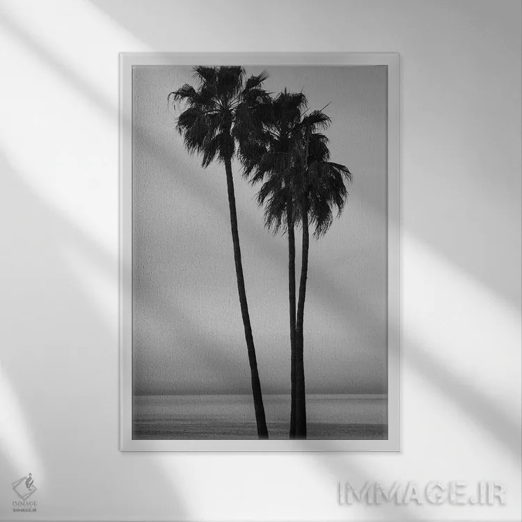 تابلو دکوراتیو California, USA" - "درختان نخل در هنگام غروب در ساحل سا… اثر پانورامیک ایمجز - نمای قابدار سفید