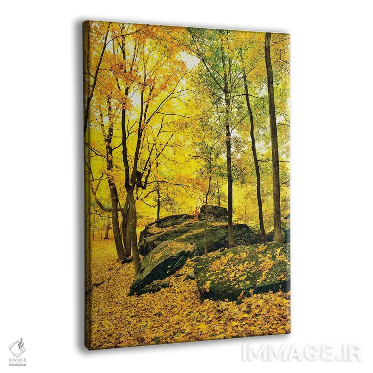 تابلو دکوراتیو Shawnee National Forest, Southern Illinois, Illinois, U… اثر پانورامیک ایمجز - نمای پرسپکتیو محصول