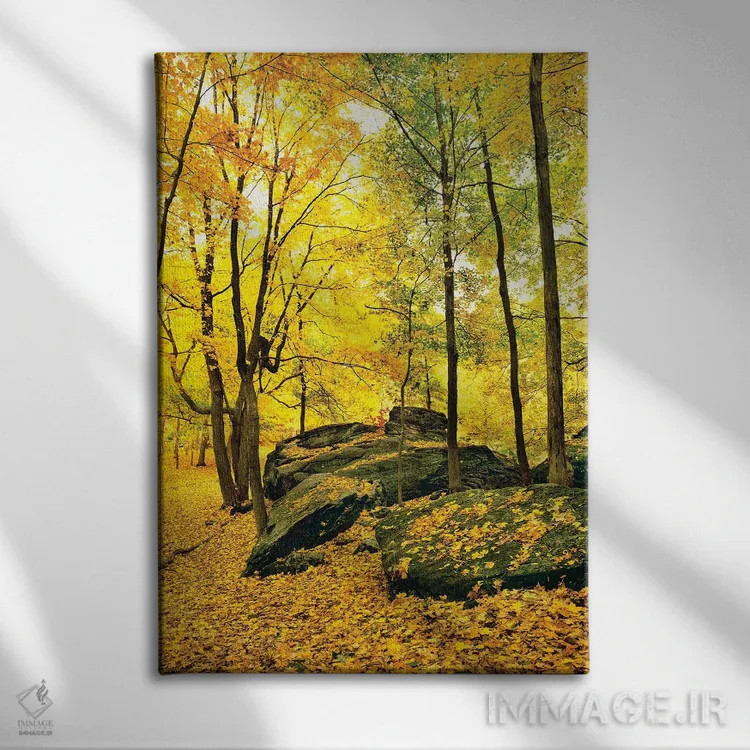 تابلو دکوراتیو Shawnee National Forest, Southern Illinois, Illinois, U… اثر پانورامیک ایمجز - نمای روبهرو روی دیوار