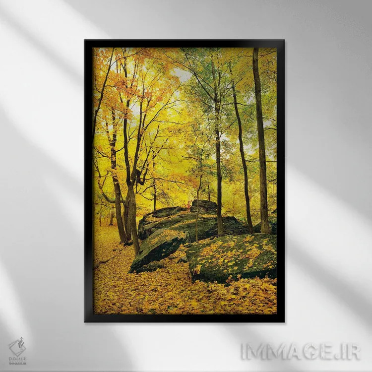 تابلو دکوراتیو Shawnee National Forest, Southern Illinois, Illinois, U… اثر پانورامیک ایمجز - نمای قابدار مشکی