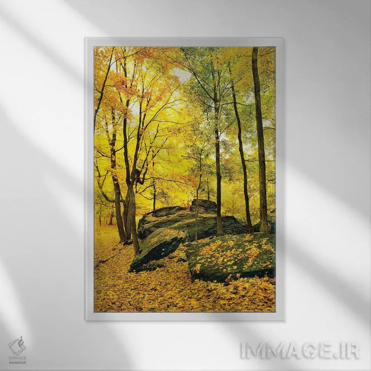 تابلو دکوراتیو Shawnee National Forest, Southern Illinois, Illinois, U… اثر پانورامیک ایمجز - نمای قابدار سفید