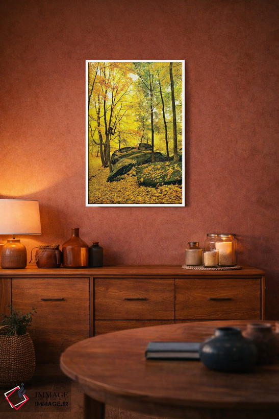 تابلو دکوراتیو Shawnee National Forest, Southern Illinois, Illinois, U… اثر پانورامیک ایمجز - D3W