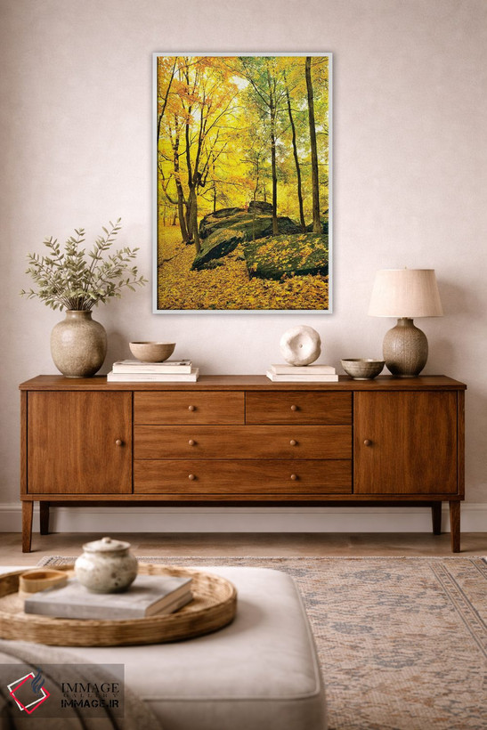 تابلو دکوراتیو Shawnee National Forest, Southern Illinois, Illinois, U… اثر پانورامیک ایمجز - D2W