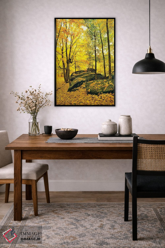 تابلو دکوراتیو Shawnee National Forest, Southern Illinois, Illinois, U… اثر پانورامیک ایمجز - D5B