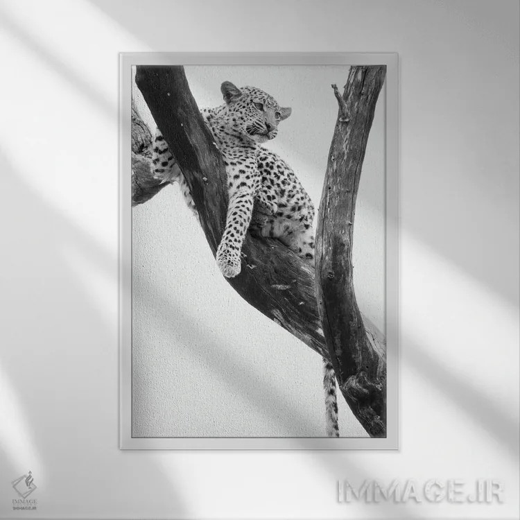 تابلو دکوراتیو یوز جوان در درخت پس از تعقیب توسط میمون ها، دلتا اوکاون… اثر پانورامیک ایمجز - نمای قابدار سفید