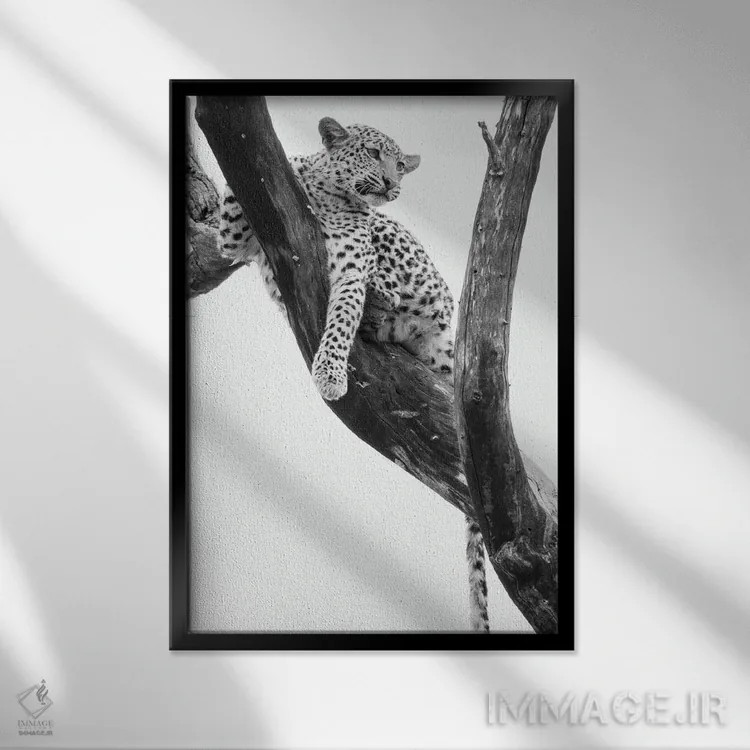 تابلو دکوراتیو یوز جوان در درخت پس از تعقیب توسط میمون ها، دلتا اوکاون… اثر پانورامیک ایمجز - نمای قابدار مشکی