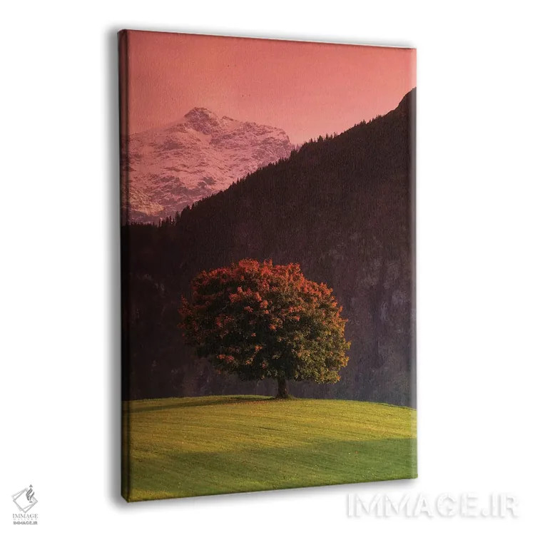 تابلو دکوراتیو Swiss Alps, Switzerland,درخت تنها در دامنه کوه، آلپ سوئ… اثر پانورامیک ایمجز - نمای پرسپکتیو محصول