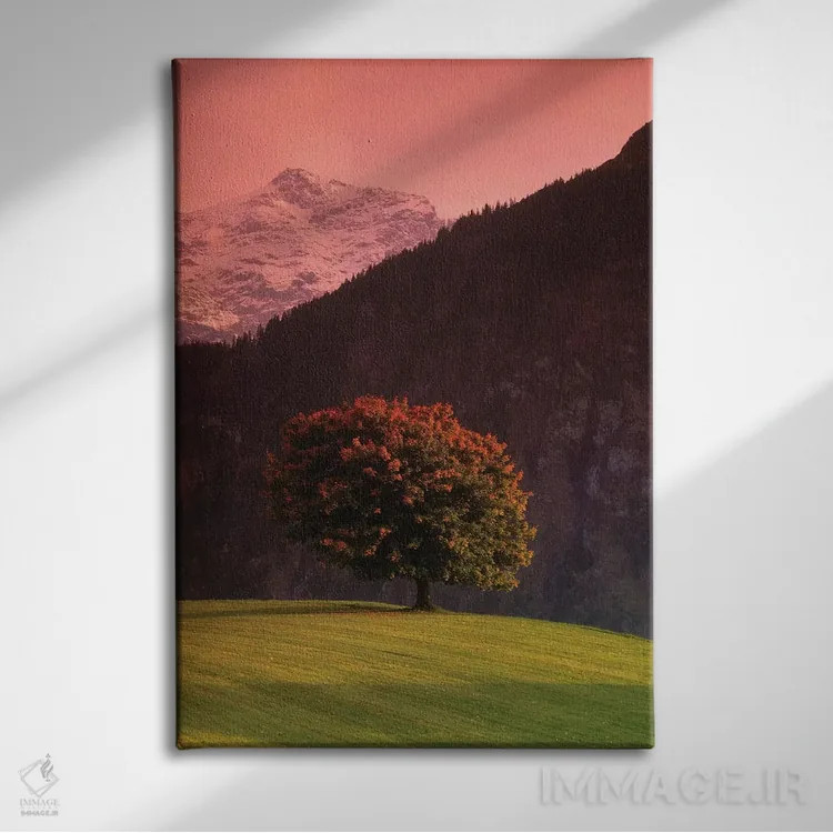 تابلو دکوراتیو Swiss Alps, Switzerland,درخت تنها در دامنه کوه، آلپ سوئ… اثر پانورامیک ایمجز - نمای روبهرو روی دیوار