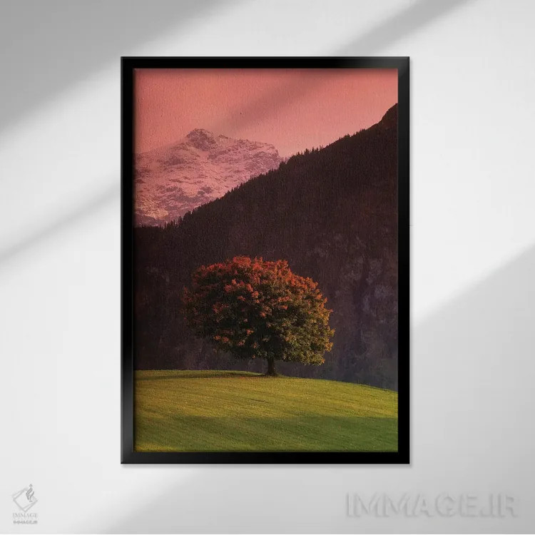 تابلو دکوراتیو Swiss Alps, Switzerland,درخت تنها در دامنه کوه، آلپ سوئ… اثر پانورامیک ایمجز - نمای قابدار مشکی