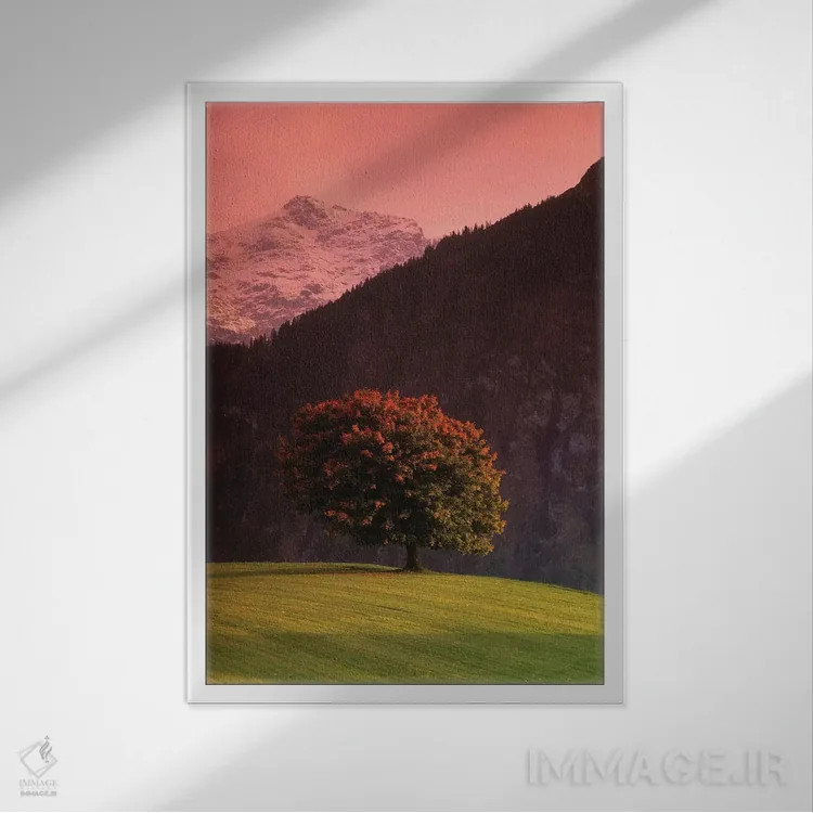 تابلو دکوراتیو Swiss Alps, Switzerland,درخت تنها در دامنه کوه، آلپ سوئ… اثر پانورامیک ایمجز - نمای قابدار سفید