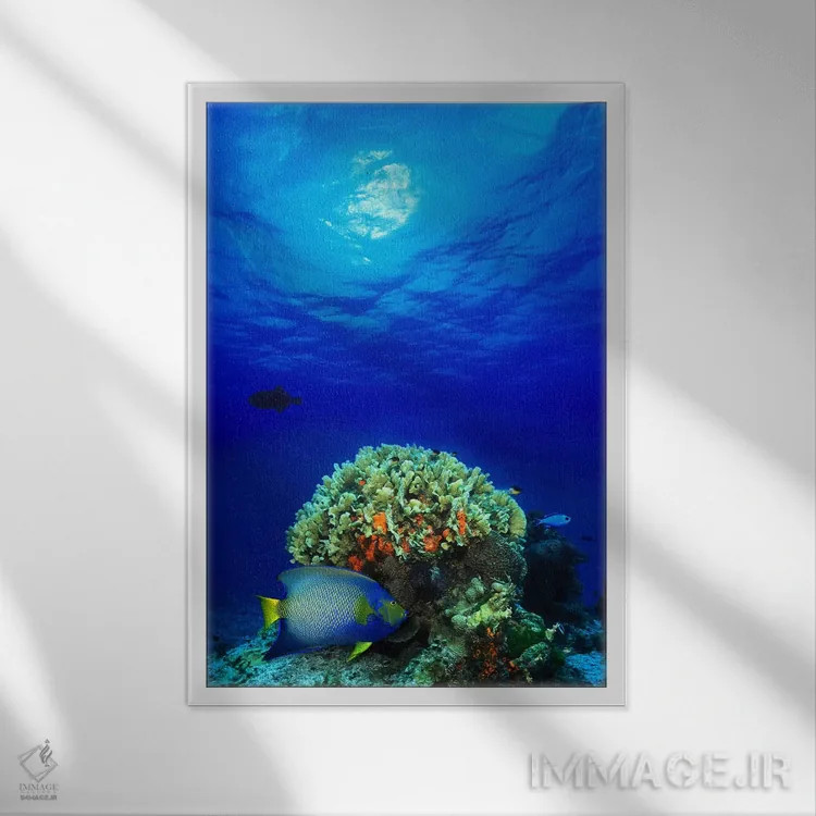 تابلو دکوراتیو ماهی فرشته ملکه ، کرویس آبی و بلک دورگون در دریا اثر پانورامیک ایمجز - نمای قابدار سفید