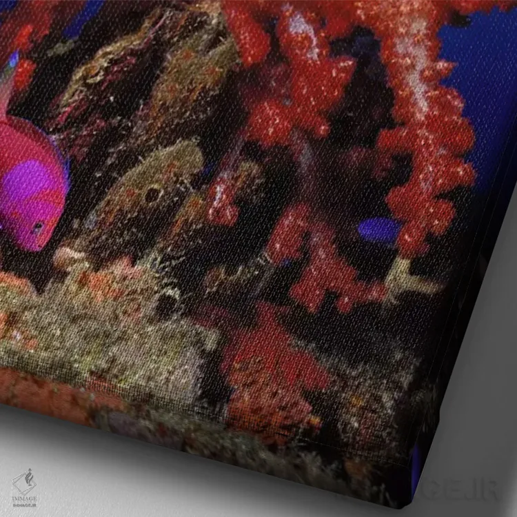 تابلو دکوراتیو ماهی شیر و ماهی انتیاس خال مربعی همراه با مرجان نرم در… اثر پانورامیک ایمجز - نمای نزدیک بافت بوم