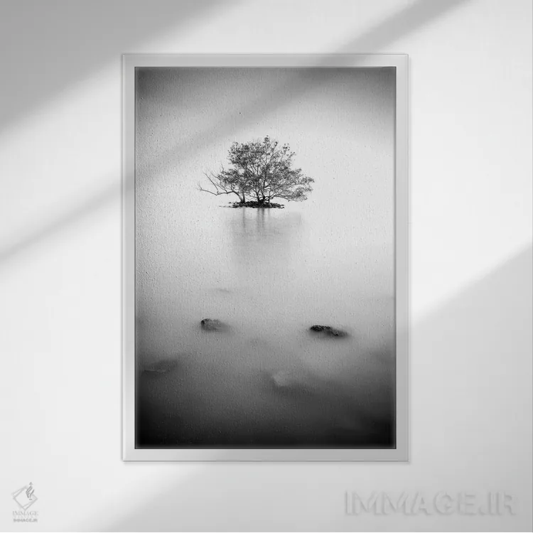 تابلو دکوراتیو در مه اثر فوتوآی ان سی استودیو - نمای قابدار سفید