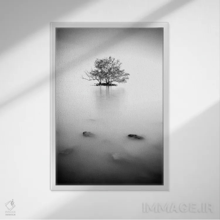 تابلو دکوراتیو در مه اثر فوتوآی ان سی استودیو - نمای قابدار سفید