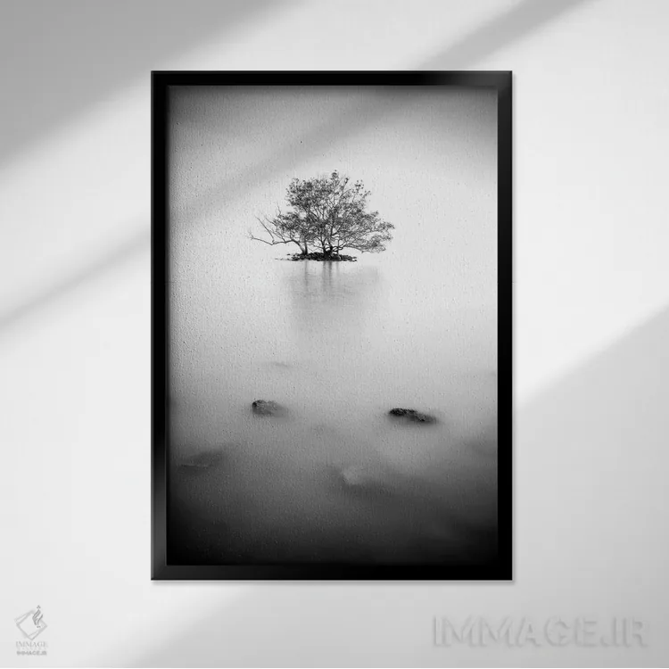 تابلو دکوراتیو در مه اثر فوتوآی ان سی استودیو - نمای قابدار مشکی