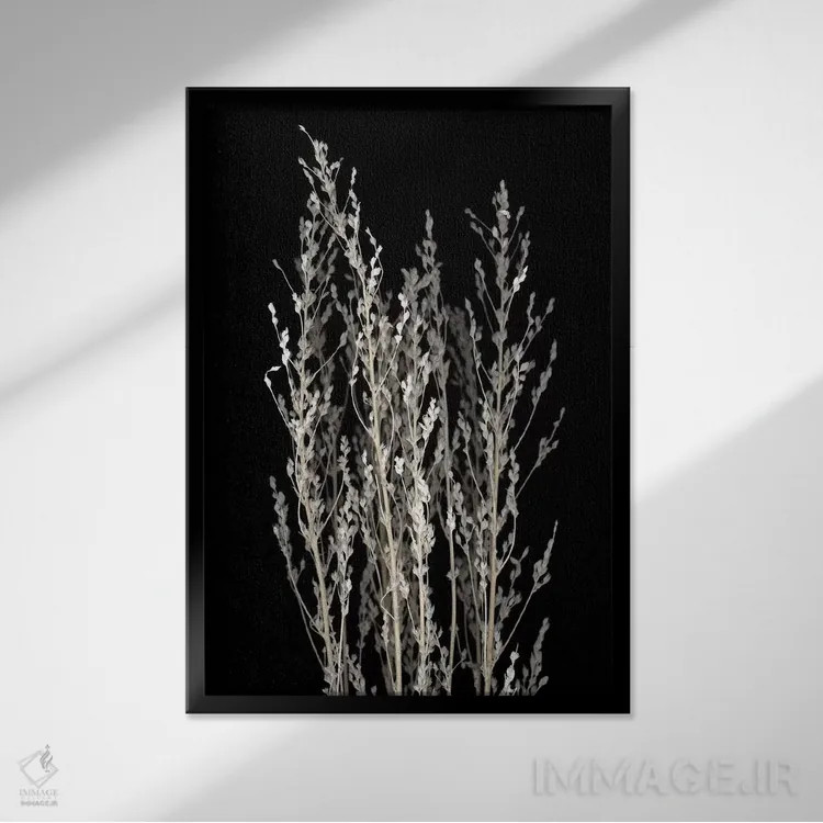 تابلو مدرن خشک شده اثر فوتوآی ان سی استودیو - نمای قابدار مشکی