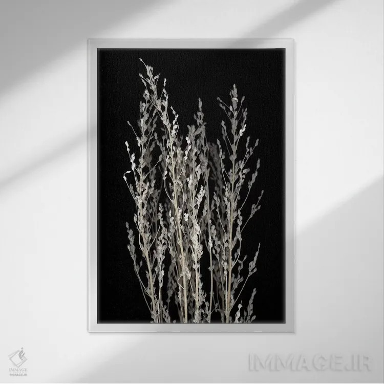 تابلو مدرن خشک شده اثر فوتوآی ان سی استودیو - نمای قابدار سفید