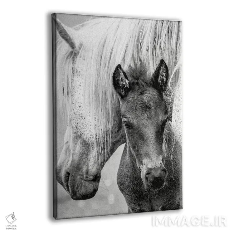 تابلو مدرن کره اسب اثر جکی پارکر - نمای پرسپکتیو محصول