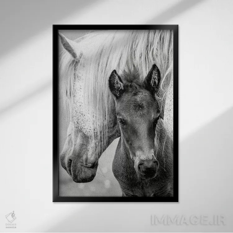 تابلو مدرن کره اسب اثر جکی پارکر - نمای قابدار مشکی