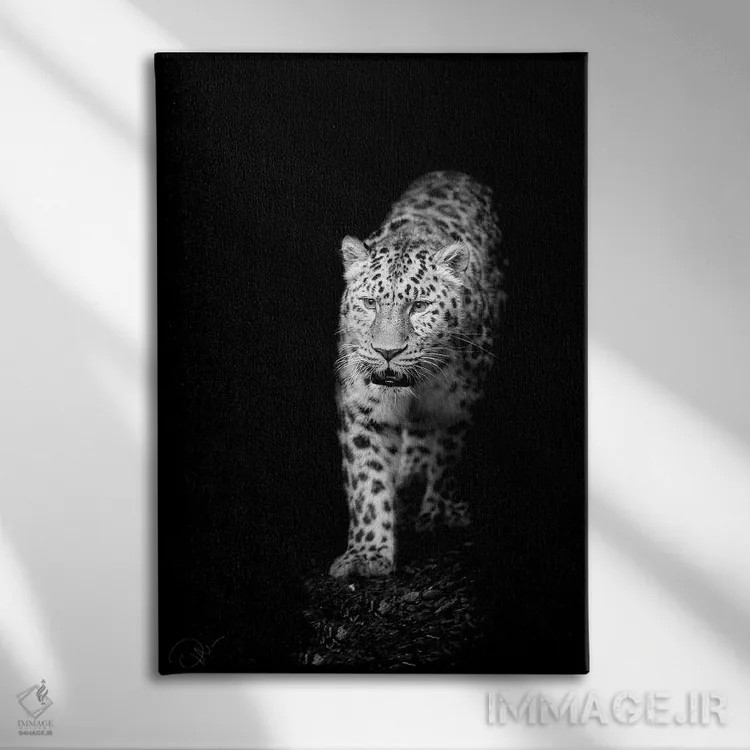 تابلو دکوراتیو به سوی نور اثر پل نویل - نمای روبهرو روی دیوار
