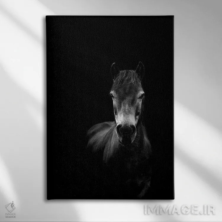 تابلو مینیمال ذات اثر پل نویل - نمای روبهرو روی دیوار