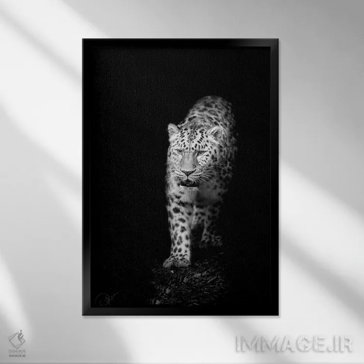 تابلو دکوراتیو به سوی نور اثر پل نویل - نمای قابدار مشکی
