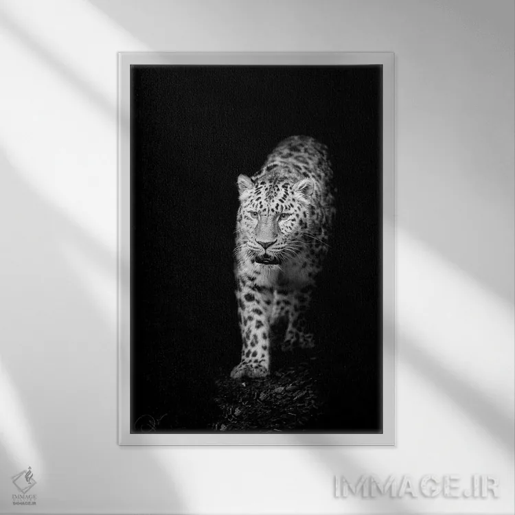 تابلو دکوراتیو به سوی نور اثر پل نویل - نمای قابدار سفید