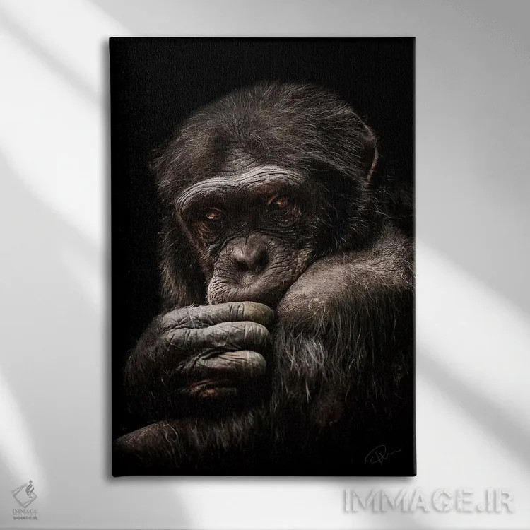 تابلو دکوراتیو درون گرا اثر پل نویل - نمای روبهرو روی دیوار