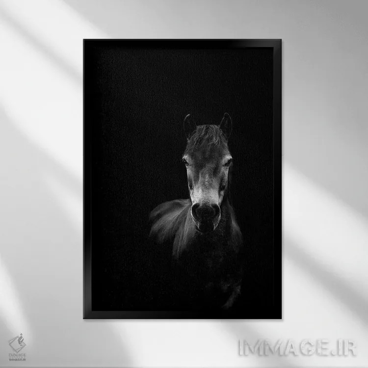 تابلو مینیمال ذات اثر پل نویل - نمای قابدار مشکی