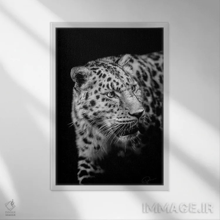 تابلو دکوراتیو قصد اثر پل نویل - نمای قابدار سفید