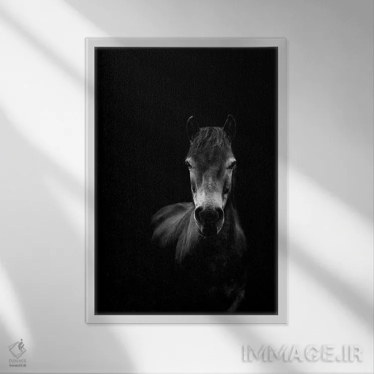 تابلو مینیمال ذات اثر پل نویل - نمای قابدار سفید