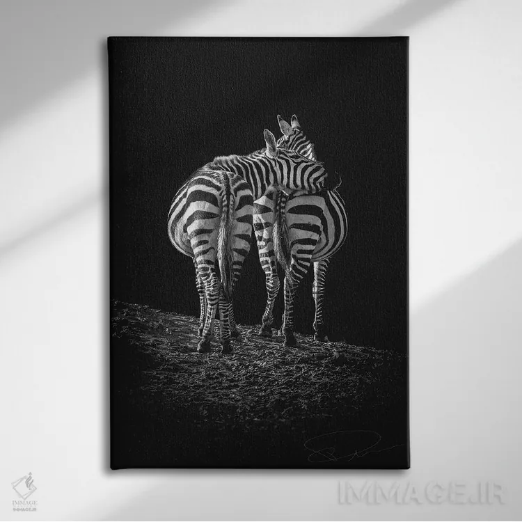 تابلو دکوراتیو تو دوستی در من داری اثر پل نویل - نمای روبهرو روی دیوار