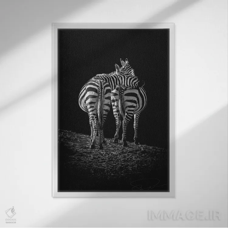 تابلو دکوراتیو تو دوستی در من داری اثر پل نویل - نمای قابدار سفید