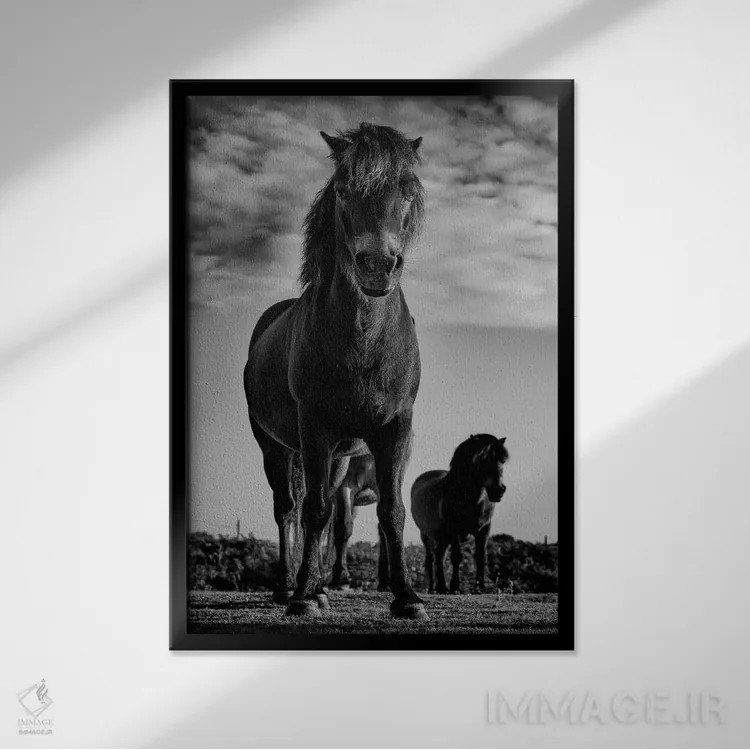 تابلو دکوراتیو دارت مور پونی ها دو اثر پل نویل - نمای قابدار مشکی
