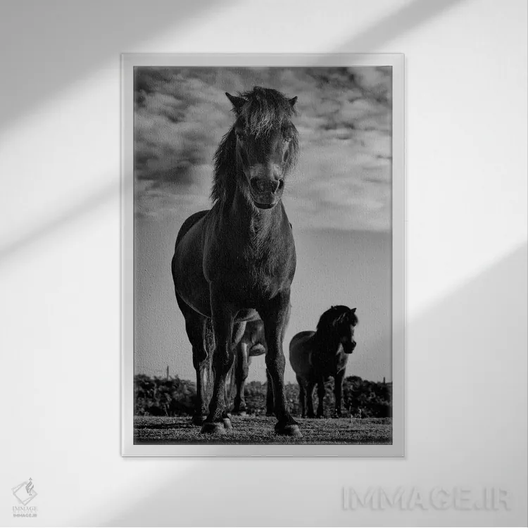 تابلو دکوراتیو دارت مور پونی ها دو اثر پل نویل - نمای قابدار سفید